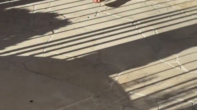 Vignette vidéo