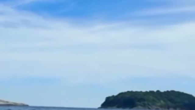 Vignette vidéo