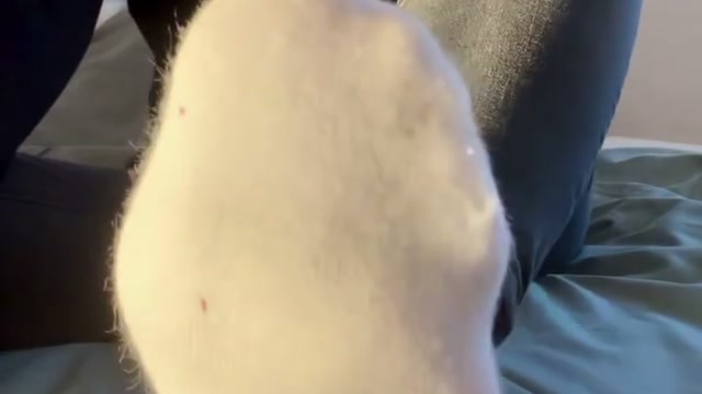 Vignette vidéo